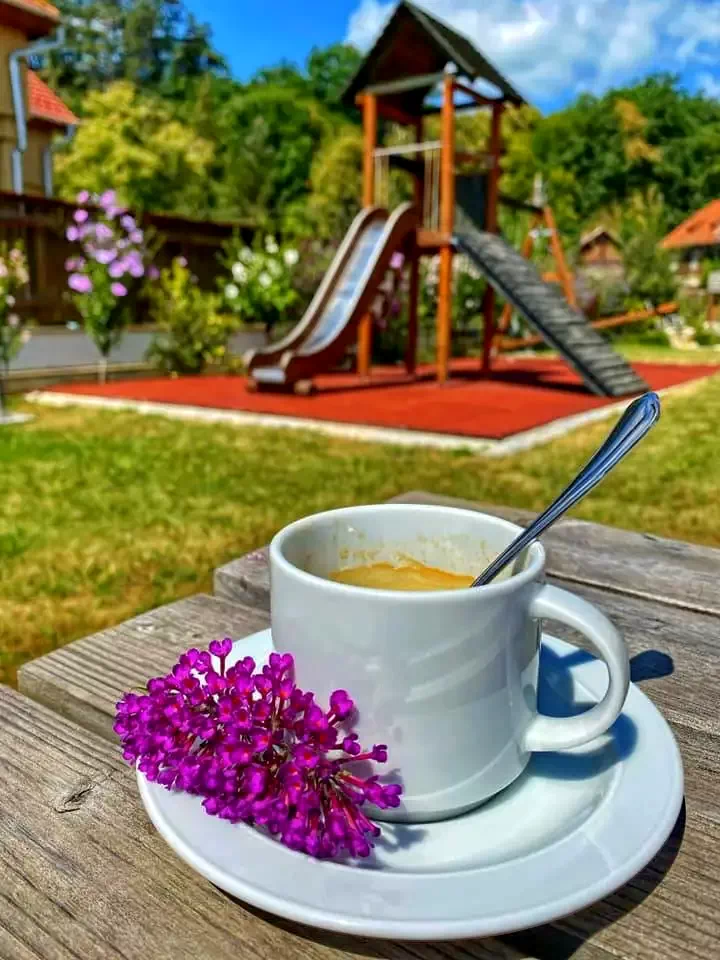 Malnaș-Băi Cazare | Motel (K1219-50) Imaginea poate fi supusă drepturilor de autor. Se recomandă contactarea titularului drepturilor.