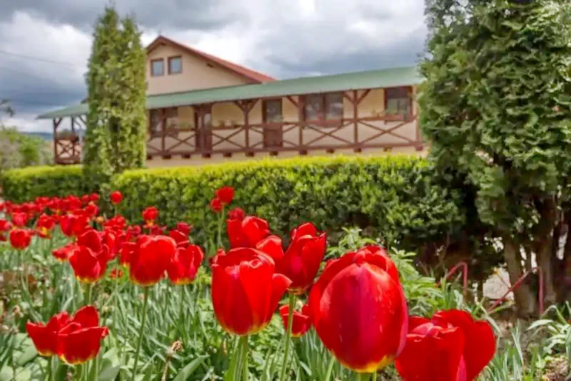 Kápolnásfalu Szállás | Motel (K0610-39) A kép szerzői jogvédelem alatt állhat. Javasolt a kapcsolatfelvétel a jog tulajdonossal.