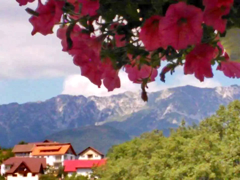 Moieciu de Jos Cazare | Motel (K0935-42) Imaginea poate fi supusă drepturilor de autor. Se recomandă contactarea titularului drepturilor.