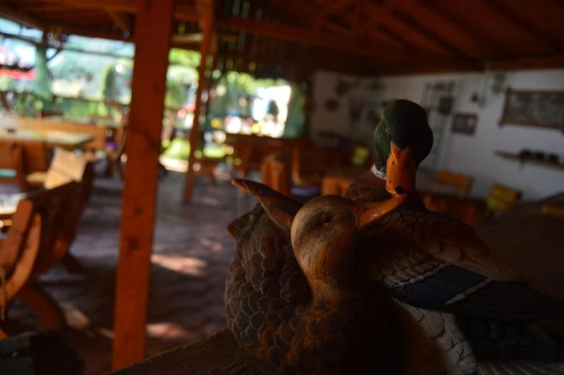 Băile Herculane Cazare | Motel (K0881-29) Imaginea poate fi supusă drepturilor de autor. Se recomandă contactarea titularului drepturilor.