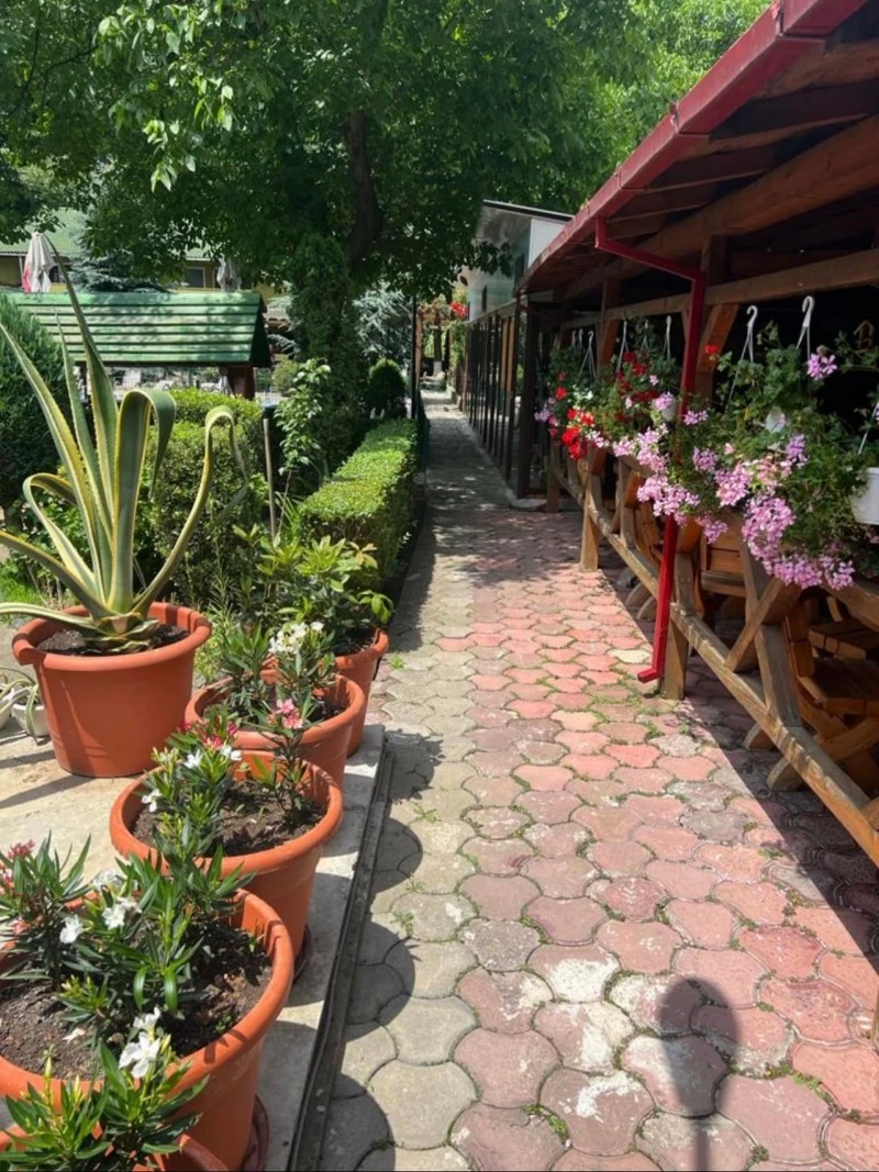 Băile Herculane Cazare | Motel (K0881-32) Imaginea poate fi supusă drepturilor de autor. Se recomandă contactarea titularului drepturilor.