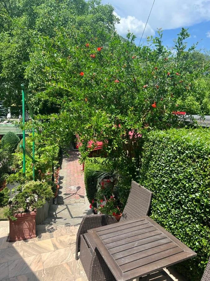 Băile Herculane Cazare | Motel (K0881-44) Imaginea poate fi supusă drepturilor de autor. Se recomandă contactarea titularului drepturilor.