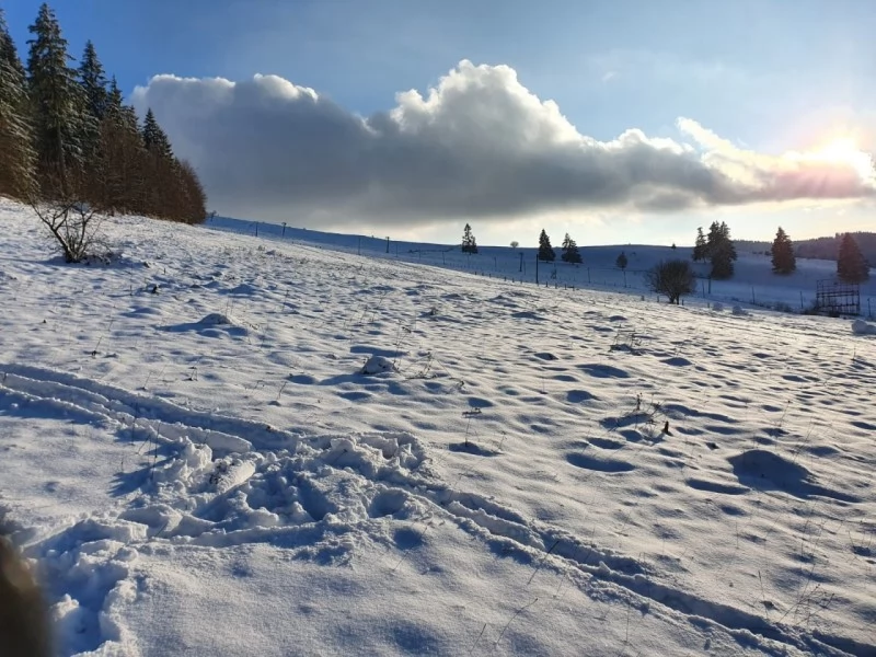 Izvoru Mureșului Cazare | Pensiune (K0172-47) Imaginea poate fi supusă drepturilor de autor. Se recomandă contactarea titularului drepturilor. Izvoru Mureșului Cazare | Pensiune (K0172-47) Imaginea poate fi supusă drepturilor de autor. Se recomandă contactarea titularului drepturilor.