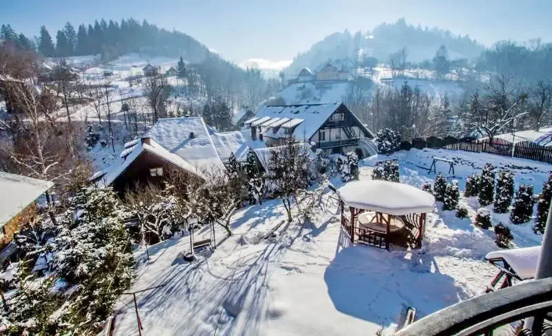 Cazare Bran - Vila Bogdan** | Törcsvár - Bogdan Villa** . Imaginea poate fi supusă drepturilor de autor. Se recomandă contactarea titularului drepturilor.