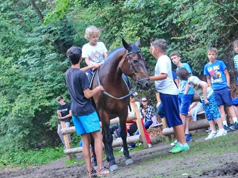 Cazare Bran - Vila Bogdan** | Törcsvár - Bogdan Villa** . Imaginea poate fi supusă drepturilor de autor. Se recomandă contactarea titularului drepturilor.