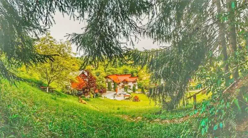 Borșa Cazare | Hostel (K0982-1) Imaginea poate fi supusă drepturilor de autor. Se recomandă contactarea titularului drepturilor.