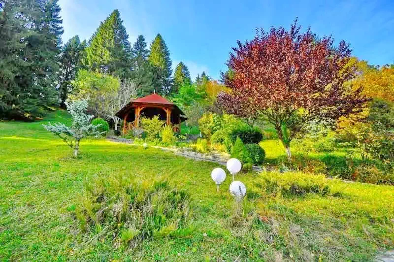 Borșa Cazare | Motel (K0982-14) Imaginea poate fi supusă drepturilor de autor. Se recomandă contactarea titularului drepturilor.