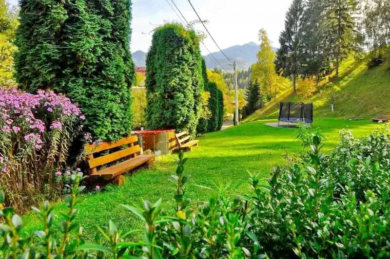 Borșa Cazare | Motel (K0982-18) Imaginea poate fi supusă drepturilor de autor. Se recomandă contactarea titularului drepturilor.