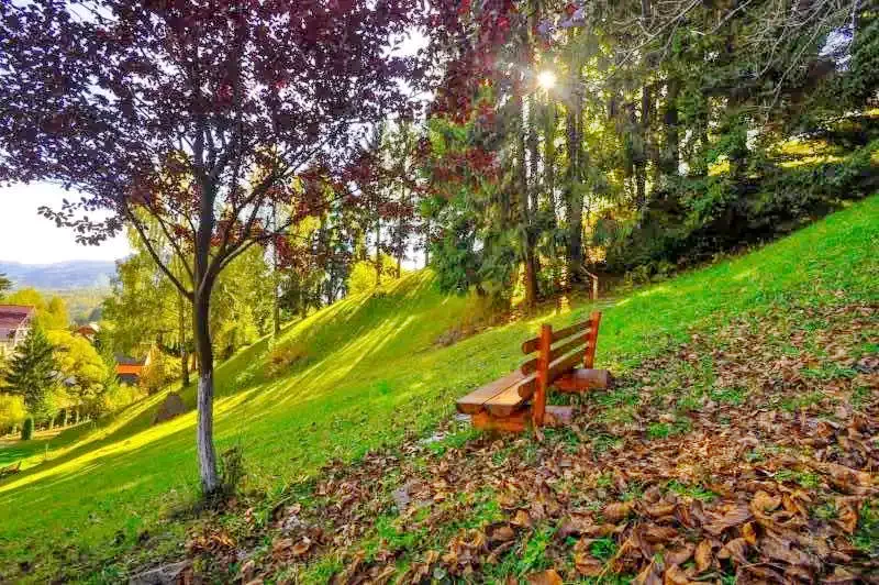 Borșa Cazare | Motel (K0982-42) Imaginea poate fi supusă drepturilor de autor. Se recomandă contactarea titularului drepturilor.