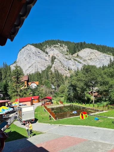 Lacu Roșu Cazare | Camping / Popas turistic (K1366-44) Imaginea poate fi supusă drepturilor de autor. Se recomandă contactarea titularului drepturilor.
