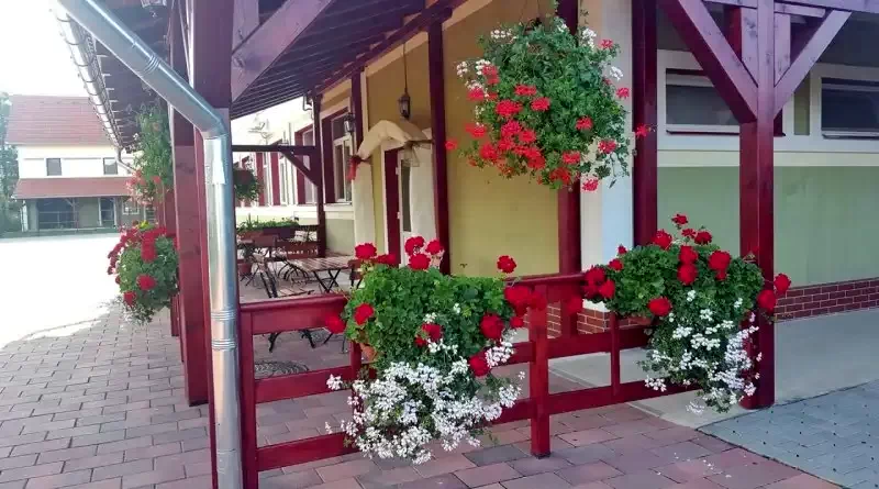 Miercurea Nirajului Cazare | Motel (K1411-25) Imaginea poate fi supusă drepturilor de autor. Se recomandă contactarea titularului drepturilor.