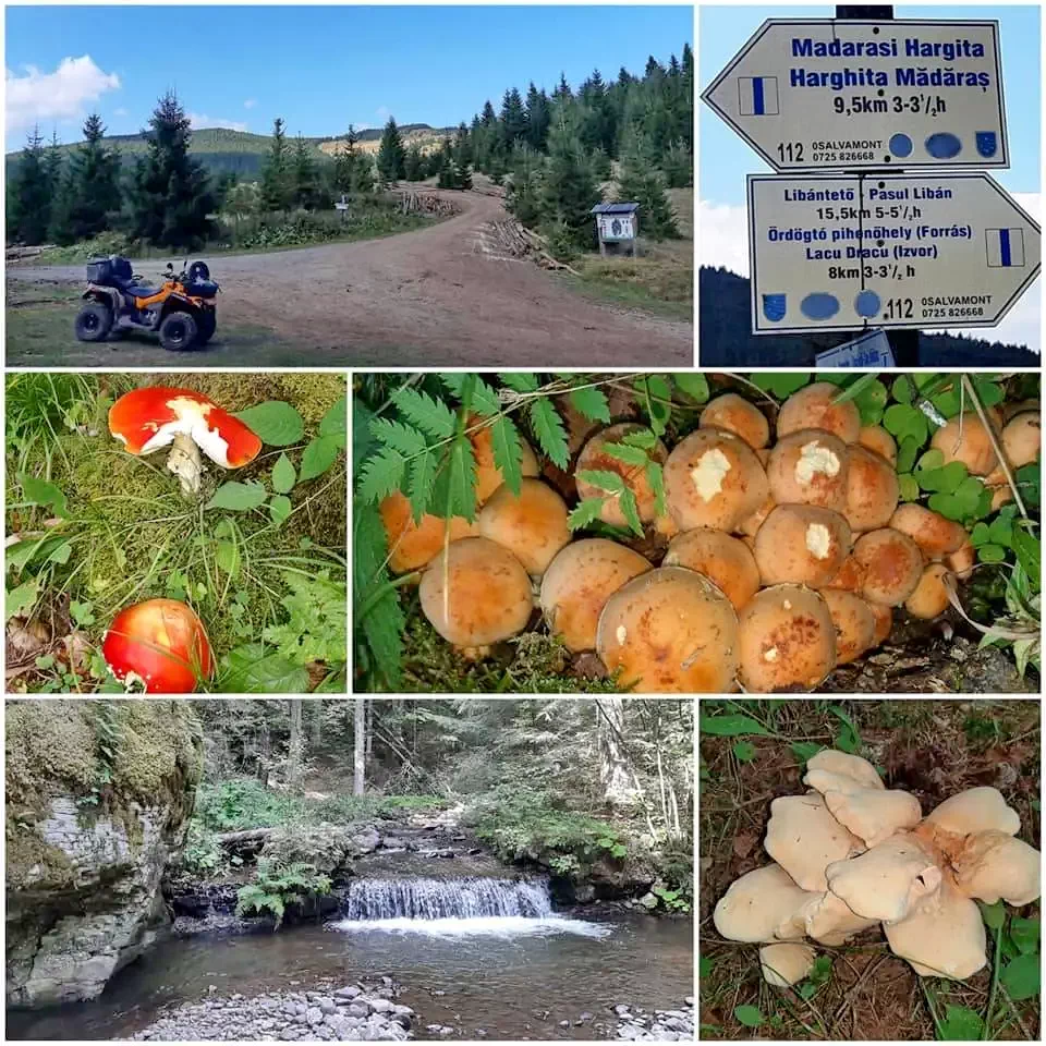 Barajul Zetea Cazare | Sat de vacanță (K0827-46) Imaginea poate fi supusă drepturilor de autor. Se recomandă contactarea titularului drepturilor.