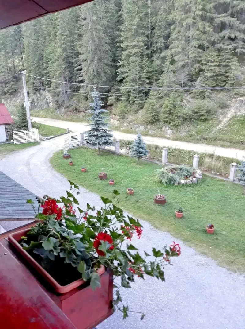 Lacu Roșu Cazare | Motel (K1263-13) Imaginea poate fi supusă drepturilor de autor. Se recomandă contactarea titularului drepturilor.