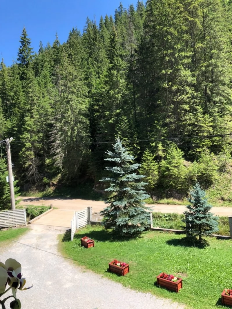 Lacu Roșu Cazare | Motel (K1263-39) Imaginea poate fi supusă drepturilor de autor. Se recomandă contactarea titularului drepturilor.