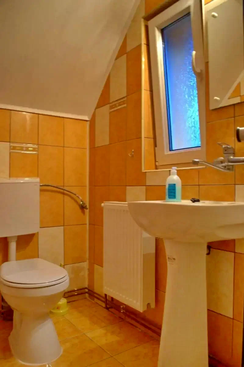 Tusnádfürdő Szállás | Hotel**** (K1160-18) A kép szerzői jogvédelem alatt állhat. Javasolt a kapcsolatfelvétel a jog tulajdonossal.