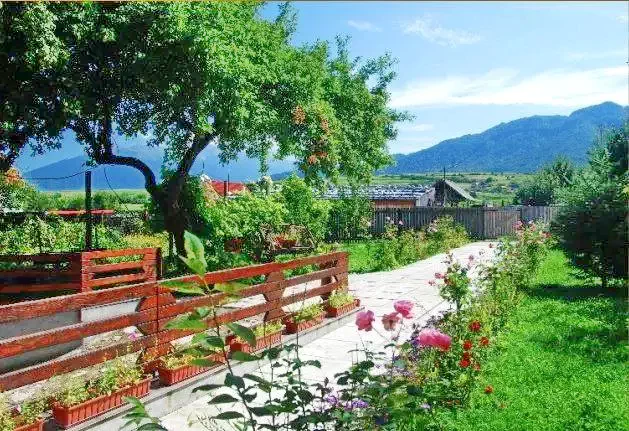 Cazare Zârnești - Pensiunea Carmi House*** | Zârnești - Carmi House Panzió*** (a volt Mosorel). Imaginea poate fi supusă drepturilor de autor. Se recomandă contactarea titularului drepturilor.