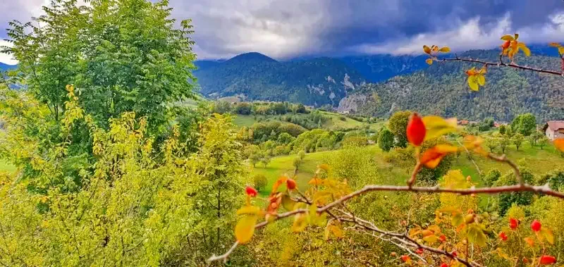 Cazare Zârnești - Pensiunea Carmi House*** | Zârnești - Carmi House Panzió*** (a volt Mosorel). Imaginea poate fi supusă drepturilor de autor. Se recomandă contactarea titularului drepturilor.
