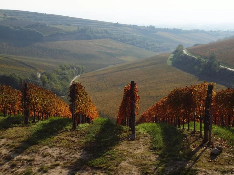  Cazare | Pensiune turistică (K1357-27) Imaginea poate fi supusă drepturilor de autor. Se recomandă contactarea titularului drepturilor.