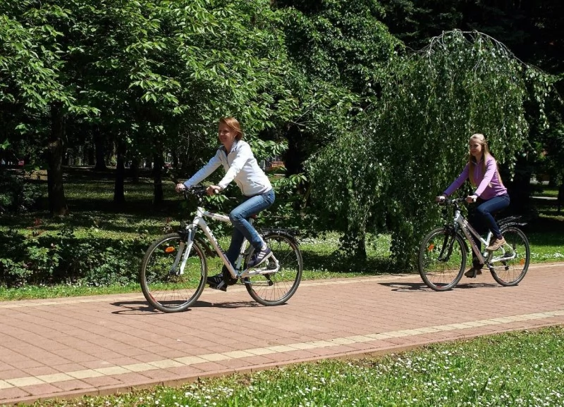  Cazare | Pensiune turistică (K1357-36) Imaginea poate fi supusă drepturilor de autor. Se recomandă contactarea titularului drepturilor.