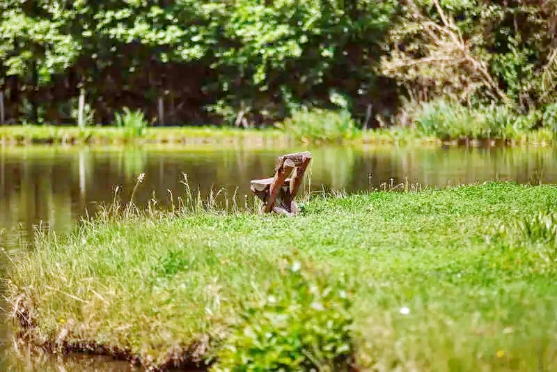 Câmpu Cetății Cazare | Hotel**** (K0999-28) Imaginea poate fi supusă drepturilor de autor. Se recomandă contactarea titularului drepturilor.