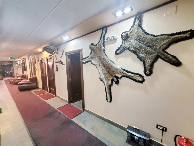 Szállás Sovata - Hotel Bellacya Resort*** | Szováta - Bellacya Resort Hotel***. A kép szerzői jogvédelem alatt állhat. Javasolt a kapcsolatfelvétel a jog tulajdonossal.