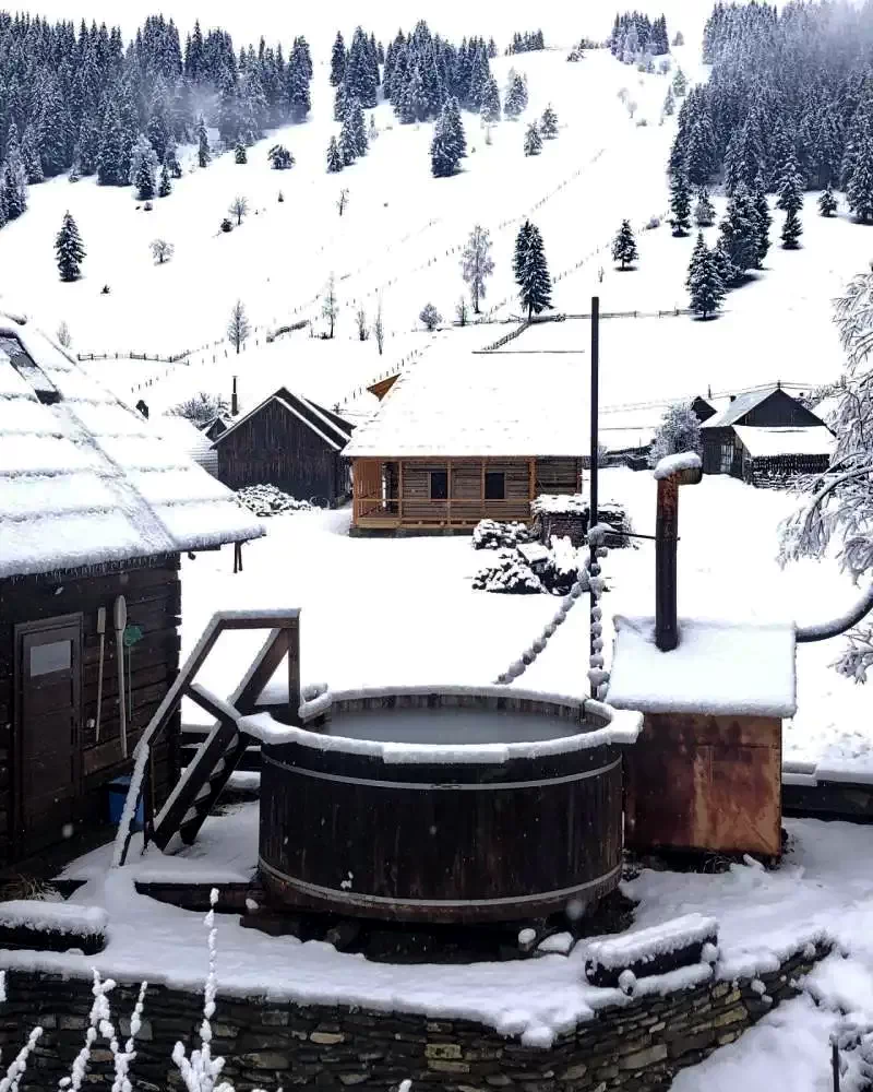 Lunca de Jos Cazare | Motel (K1262-38) Imaginea poate fi supusă drepturilor de autor. Se recomandă contactarea titularului drepturilor.