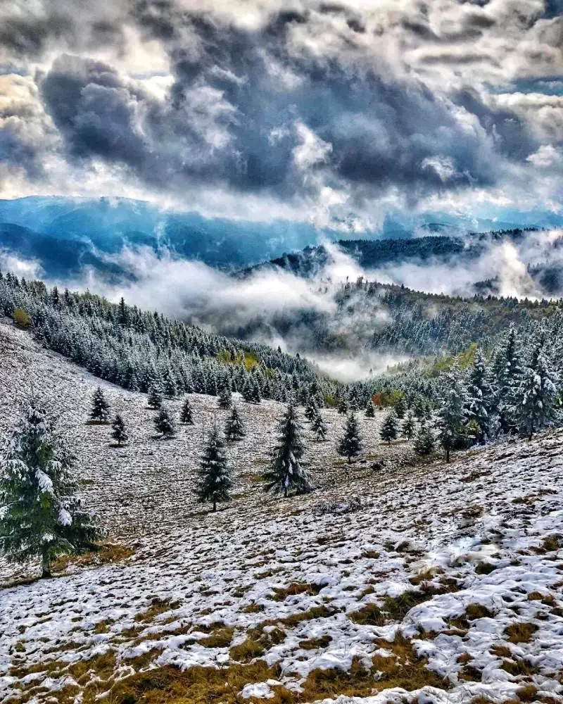 Gyimesközéplok Szállás | Motel (K1262-40) A kép szerzői jogvédelem alatt állhat. Javasolt a kapcsolatfelvétel a jog tulajdonossal.