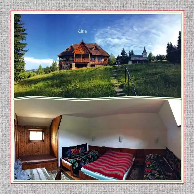 Lunca de Jos Cazare | Motel (K1262-42) Imaginea poate fi supusă drepturilor de autor. Se recomandă contactarea titularului drepturilor.