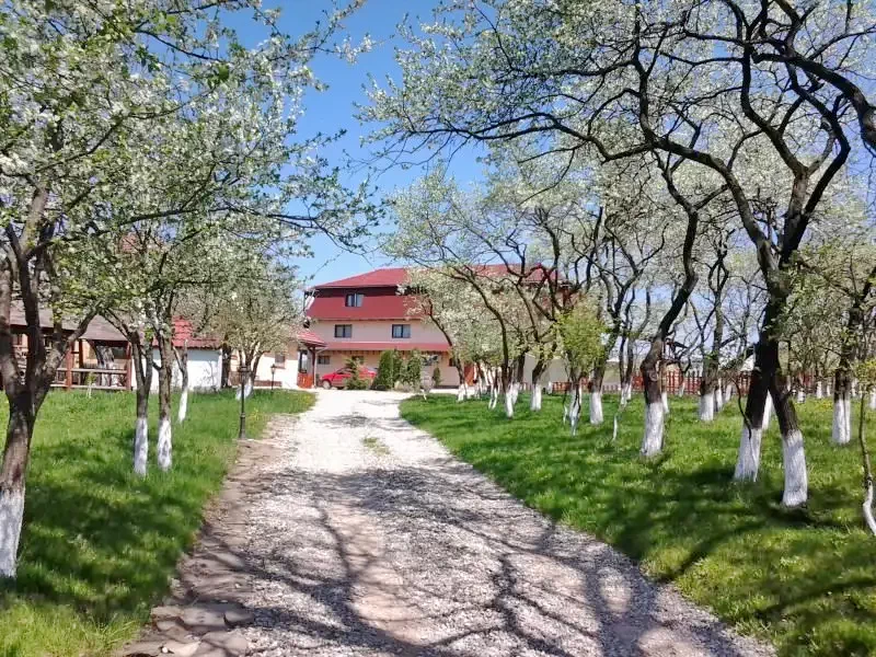 Csernáton Szállás | Hotel**** (K0642-20) A kép szerzői jogvédelem alatt állhat. Javasolt a kapcsolatfelvétel a jog tulajdonossal.