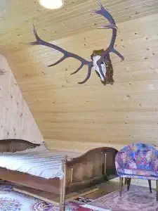 Homoródfürdő Szállás | Üdülőfalu (K0040-7) A kép szerzői jogvédelem alatt állhat. Javasolt a kapcsolatfelvétel a jog tulajdonossal.