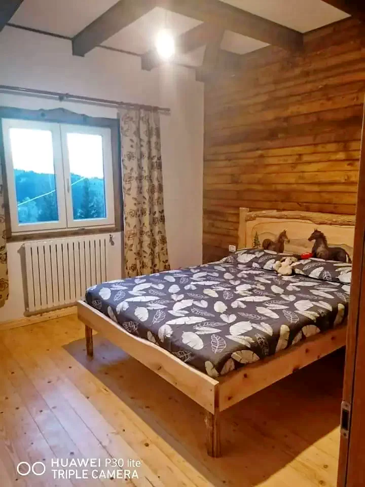 Borșa Cazare | Motel (K1227-12) Imaginea poate fi supusă drepturilor de autor. Se recomandă contactarea titularului drepturilor.