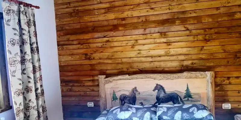 Borșa Cazare | Motel (K1227-18) Imaginea poate fi supusă drepturilor de autor. Se recomandă contactarea titularului drepturilor.