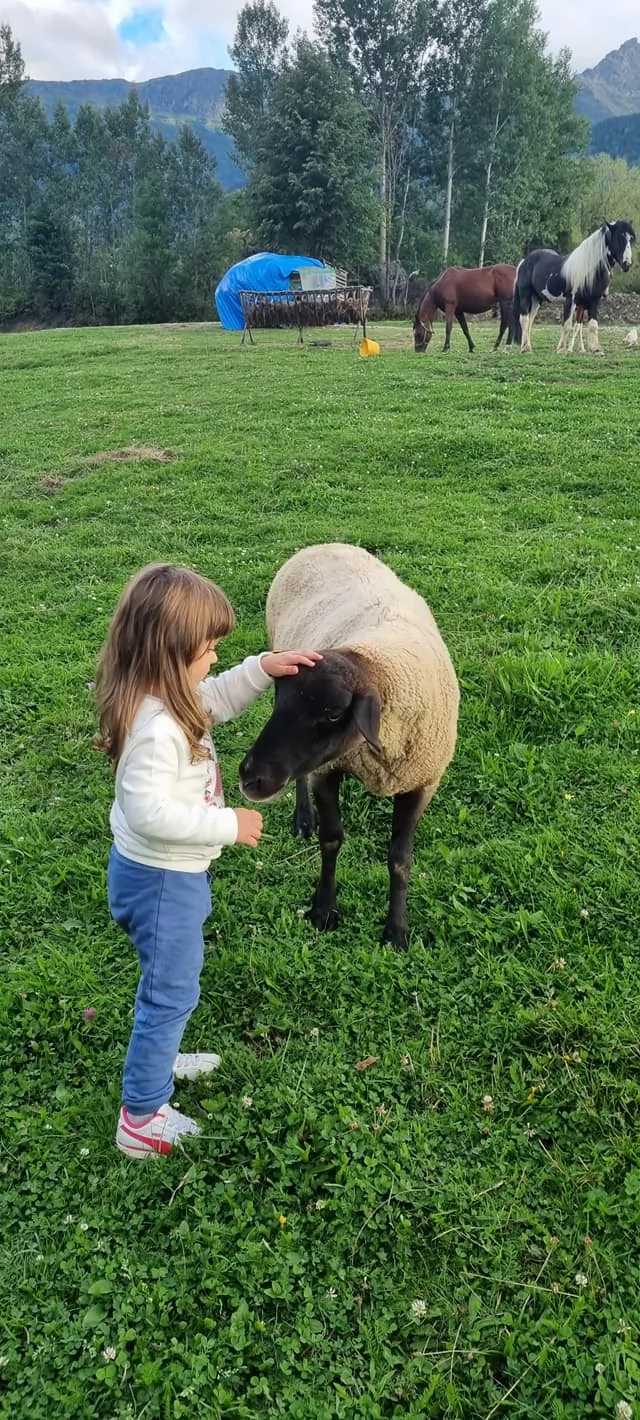 Borșa Cazare | Pensiune (K1227-50) Imaginea poate fi supusă drepturilor de autor. Se recomandă contactarea titularului drepturilor. Borșa Cazare | Pensiune (K1227-50) Imaginea poate fi supusă drepturilor de autor. Se recomandă contactarea titularului drepturilor.