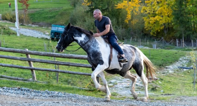 Borșa Cazare | Motel (K1227-55) Imaginea poate fi supusă drepturilor de autor. Se recomandă contactarea titularului drepturilor.