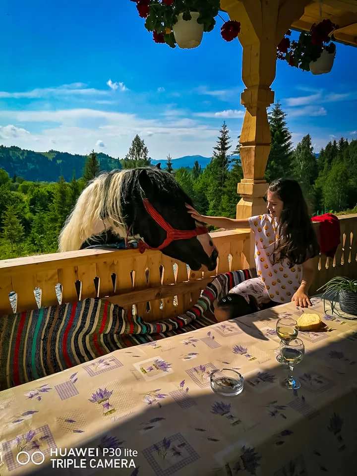 Borșa Cazare | Motel (K1227-58) Imaginea poate fi supusă drepturilor de autor. Se recomandă contactarea titularului drepturilor.