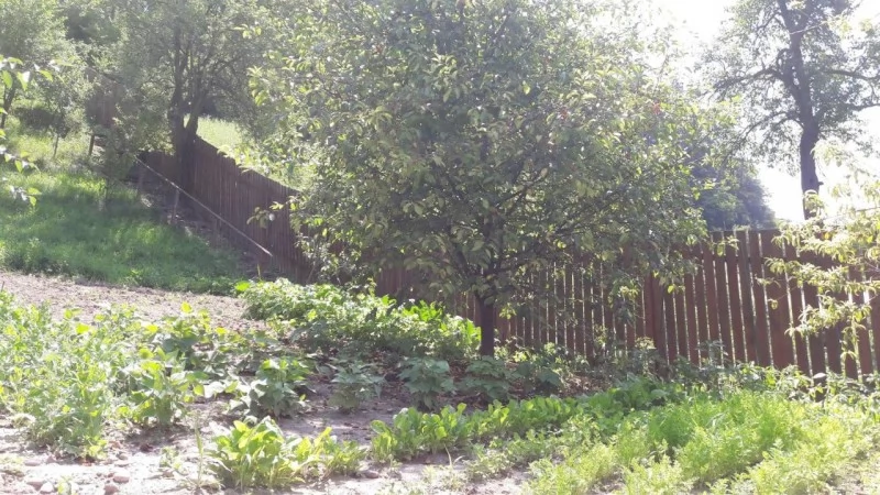 Saschiz Cazare | Pensiune (K1485-34) Imaginea poate fi supusă drepturilor de autor. Se recomandă contactarea titularului drepturilor. Saschiz Cazare | Pensiune (K1485-34) Imaginea poate fi supusă drepturilor de autor. Se recomandă contactarea titularului drepturilor.