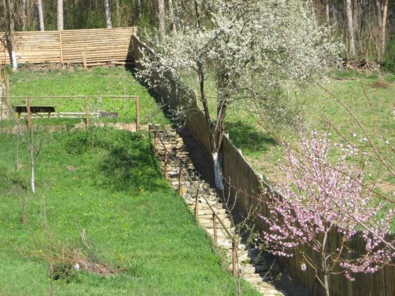 Saschiz Cazare | Pensiune (K1485-36) Imaginea poate fi supusă drepturilor de autor. Se recomandă contactarea titularului drepturilor. Saschiz Cazare | Pensiune (K1485-36) Imaginea poate fi supusă drepturilor de autor. Se recomandă contactarea titularului drepturilor.