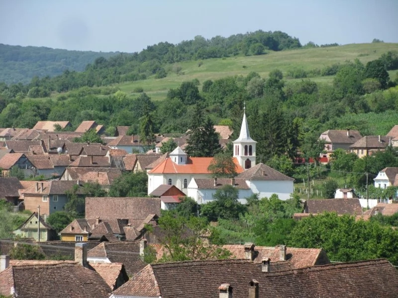 Saschiz Cazare | Motel (K1485-38) Imaginea poate fi supusă drepturilor de autor. Se recomandă contactarea titularului drepturilor.