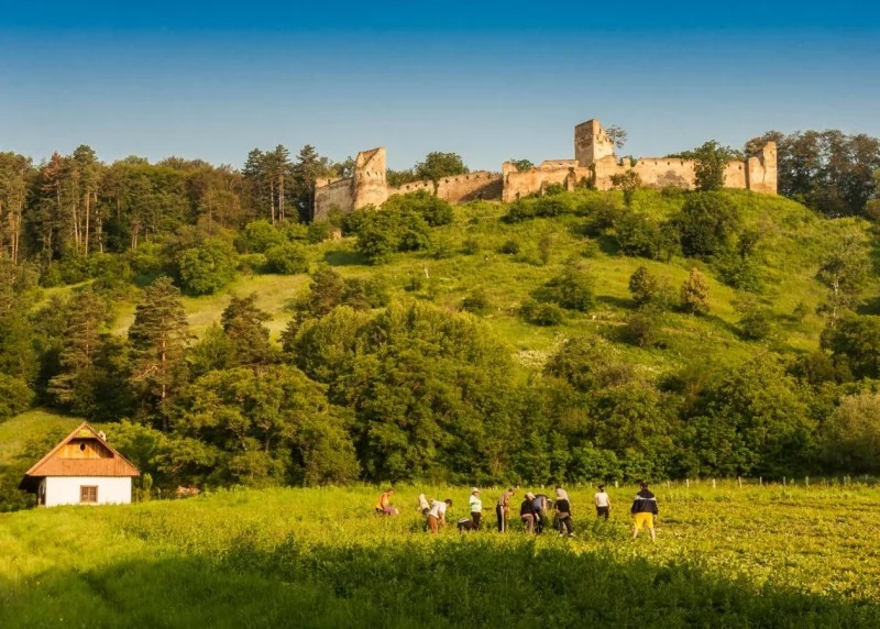 Saschiz Cazare | Pensiune (K1485-40) Imaginea poate fi supusă drepturilor de autor. Se recomandă contactarea titularului drepturilor. Saschiz Cazare | Pensiune (K1485-40) Imaginea poate fi supusă drepturilor de autor. Se recomandă contactarea titularului drepturilor.