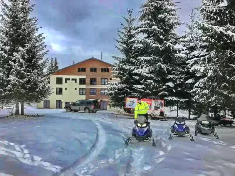 Cazare Piricica  - Tihna Muntelui*** | Mountain Rest Piricske - Hegyi Pihenő Panzió***. Imaginea poate fi supusă drepturilor de autor. Se recomandă contactarea titularului drepturilor.