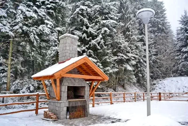 Cazare Piricica  - Tihna Muntelui*** | Mountain Rest Piricske - Hegyi Pihenő Panzió***. Imaginea poate fi supusă drepturilor de autor. Se recomandă contactarea titularului drepturilor.
