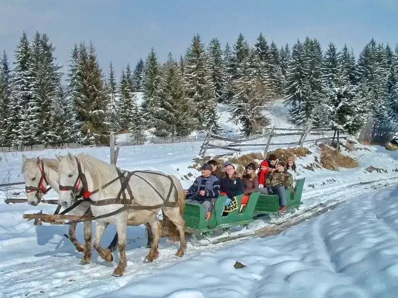 Cazare Piricica  - Tihna Muntelui*** | Mountain Rest Piricske - Hegyi Pihenő Panzió***. Imaginea poate fi supusă drepturilor de autor. Se recomandă contactarea titularului drepturilor.