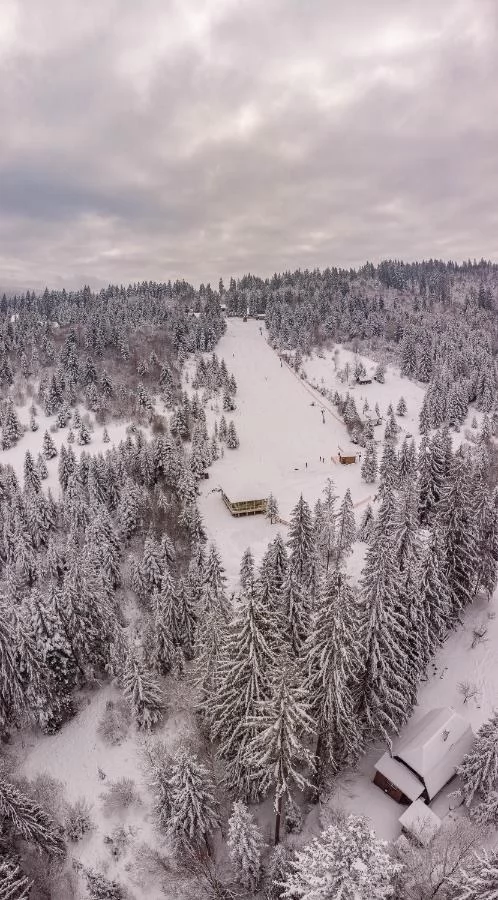Cazare Piricica  - Tihna Muntelui*** | Mountain Rest Piricske - Hegyi Pihenő Panzió***. Imaginea poate fi supusă drepturilor de autor. Se recomandă contactarea titularului drepturilor.