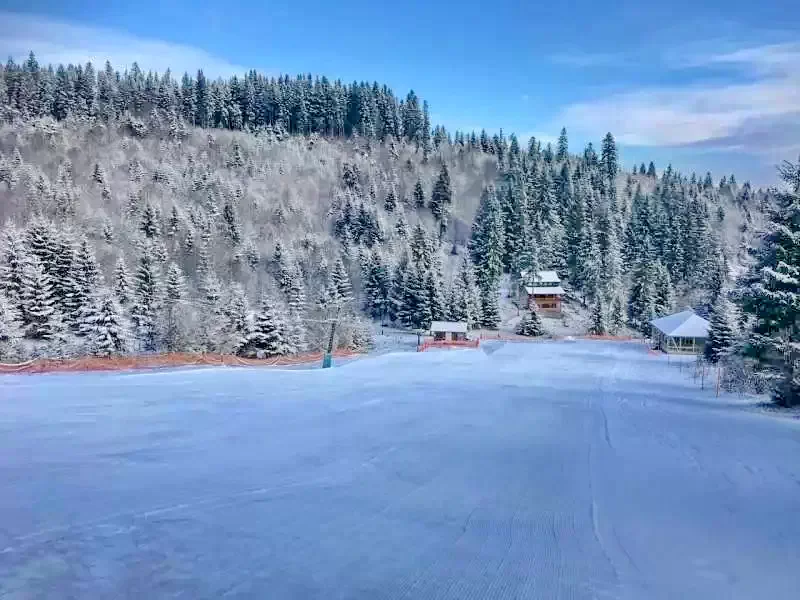 Cazare Piricica  - Tihna Muntelui*** | Mountain Rest Piricske - Hegyi Pihenő Panzió***. Imaginea poate fi supusă drepturilor de autor. Se recomandă contactarea titularului drepturilor.