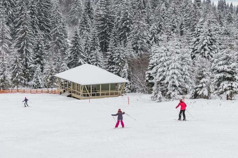 Cazare Piricica  - Tihna Muntelui*** | Mountain Rest Piricske - Hegyi Pihenő Panzió***. Imaginea poate fi supusă drepturilor de autor. Se recomandă contactarea titularului drepturilor.