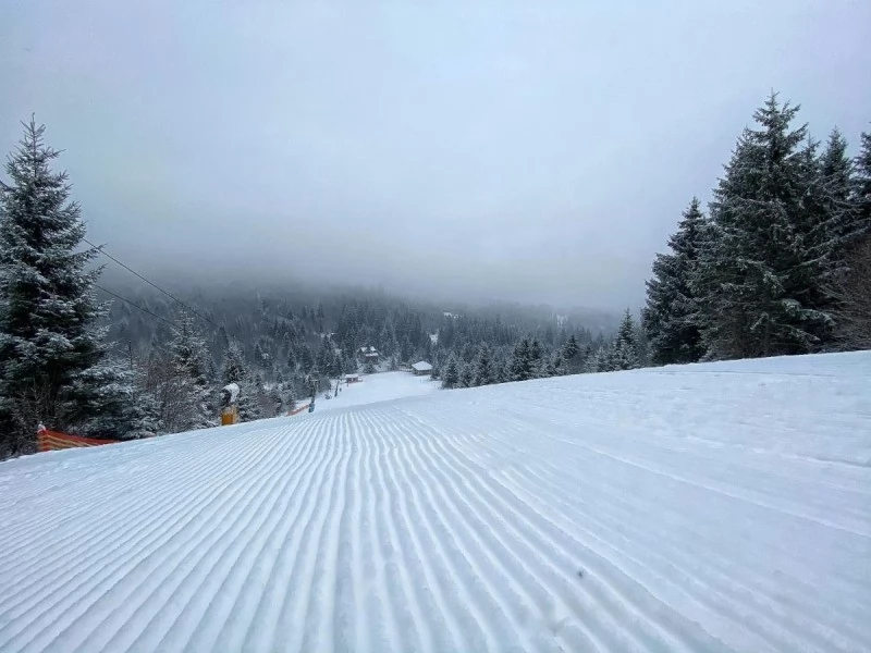 Cazare Piricica  - Tihna Muntelui*** | Mountain Rest Piricske - Hegyi Pihenő Panzió***. Imaginea poate fi supusă drepturilor de autor. Se recomandă contactarea titularului drepturilor.