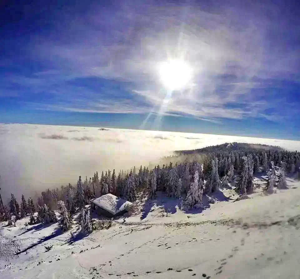 Cazare Piricica  - Tihna Muntelui*** | Mountain Rest Piricske - Hegyi Pihenő Panzió***. Imaginea poate fi supusă drepturilor de autor. Se recomandă contactarea titularului drepturilor.