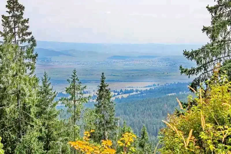 Cazare Piricica  - Tihna Muntelui*** | Mountain Rest Piricske - Hegyi Pihenő Panzió***. Imaginea poate fi supusă drepturilor de autor. Se recomandă contactarea titularului drepturilor.