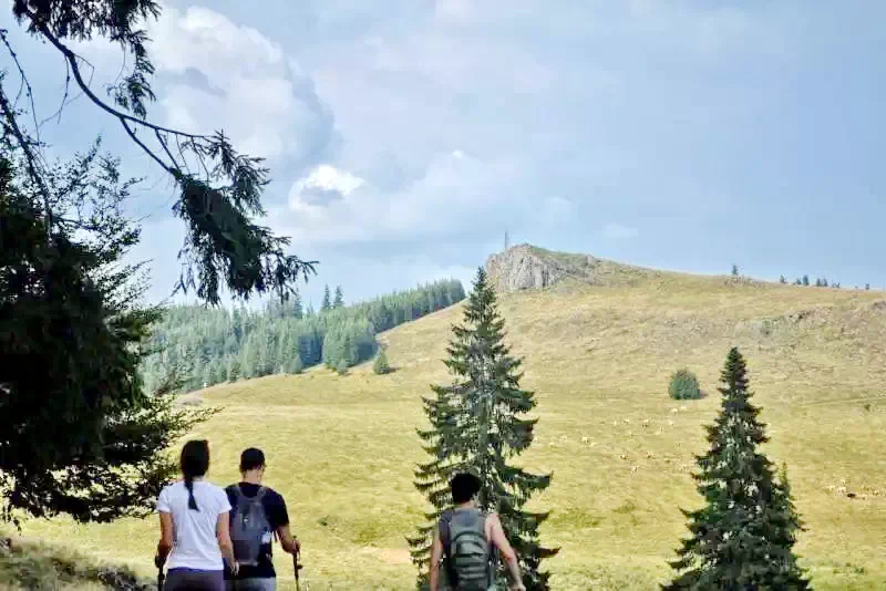 Harghita-Băi Cazare | Pensiune (K1077-65) Imaginea poate fi supusă drepturilor de autor. Se recomandă contactarea titularului drepturilor.