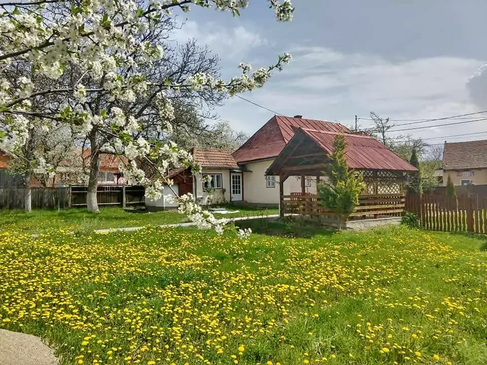 Mereni Cazare | Motel (K1201-12) Imaginea poate fi supusă drepturilor de autor. Se recomandă contactarea titularului drepturilor.